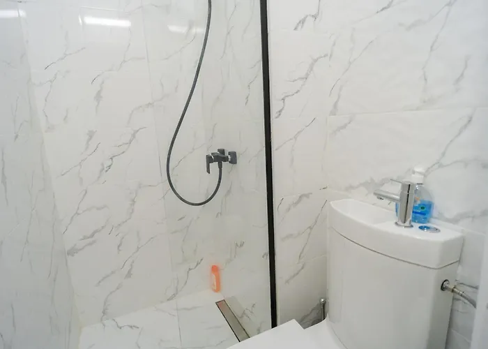 Elegant Gem Victoriei Avenue アパート *